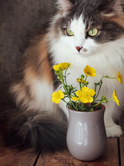 A fluffy cat sits next to a bunch of buttercups in a gray glass