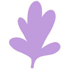 Hand drawn abstract organic leaf. Doodle botanical elements illustration.