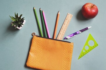 Flat lay back to school concept photo. Coloured pencils, pen, ruler, yellow pencil case and a red apple on the green table. International Teachers' Day