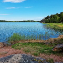 lake in summer