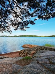 lake and forest