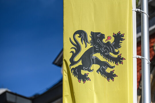 drapeau Flandres flamand lion embleme 
