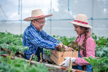 Asian farmers checking and holding fresh organic vegetable in hydroponic smart farm, produce and carry vegetable basket for green harvest agriculture with business, healthy clean food concept