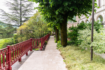 path in the park