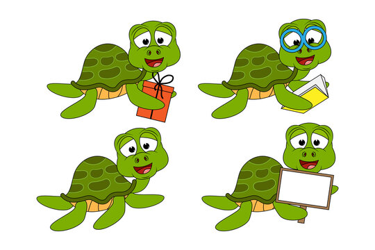 cute turtle animal cartoon graphic