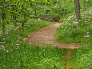 An der Küsten von Nord-England