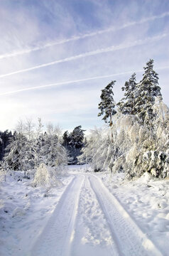 Winter landscape with vehicle tracks and sky contrails.