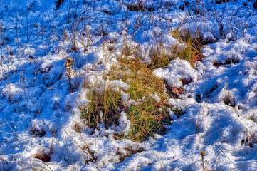 Frozen land covered with snow during cold winter day.