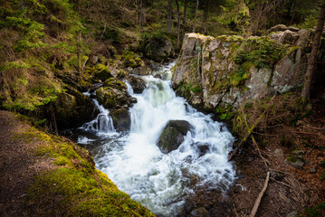Chute d'eau et bouillonnement d'une rivière au milieu des rochers et d'une forêt européenne de conifère, montagne des Vosges