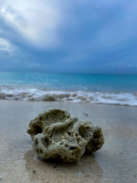 A lonely rock on the seasore