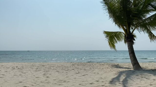 Most beautiful beaches in the world. Bahamas palm beach landscape. Crystal clear blue sea and white sand. 