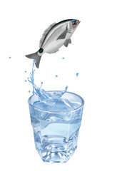 omblade , poisson, sauter, évasion, pêche, eau, en verre, boire, liquide, froid, verser, isolé, blanc, clapoter, éclaboussure, bouillonner, boisson, bleu, abattre, clair, frais, glace, sain, propre, t