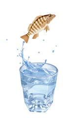 serrans  , poisson, sauter, évasion, pêche, eau, en verre, boire, liquide, froid, verser, isolé, blanc, clapoter, éclaboussure, bouillonner, boisson, bleu, abattre, clair, frais, glace, sain, propre, 
