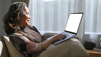 Smiling middle aged woman relaxing on couch and using computer laptop in bright modern living room
