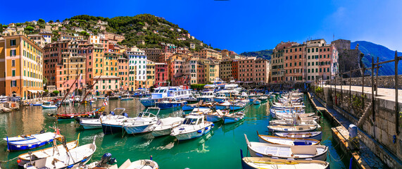 Camogli - beautiful colorful town in Liguria, panorama with traditional fishing boats .popular...