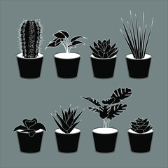 Vector illustration of plants in pots on isolated grey background.