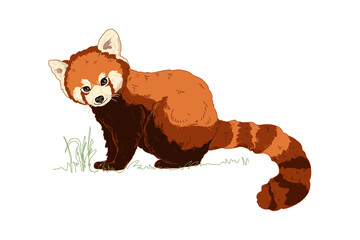 Cute adorable red panda sitting cartoon animal character design flat style © Sg.Lapchi