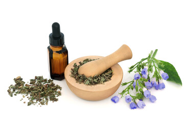 Lungwort herb leaves and flowers used in herbal plant medicine to treat lung diseases and breathing...