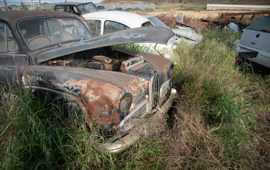 Car junkyard with wreck of a destroyed cars. Environmental pollution metal recycling. - obrazy, fototapety, plakaty