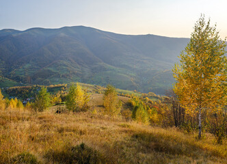 Autumn morning Carpathian Mountains calm picturesque scene, Ukraine. Peaceful traveling, seasonal, nature and countryside beauty concept scene.