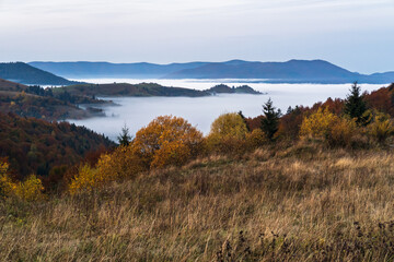 Obraz premium Foggy early morning autumn mountains scene. Peaceful picturesque traveling, seasonal, nature and countryside beauty concept scene. Carpathian Mountains, Ukraine.
