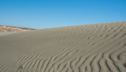 Fototapeta na wymiar Sand dunes againt blue sky. Desert dry coast land Cyprus