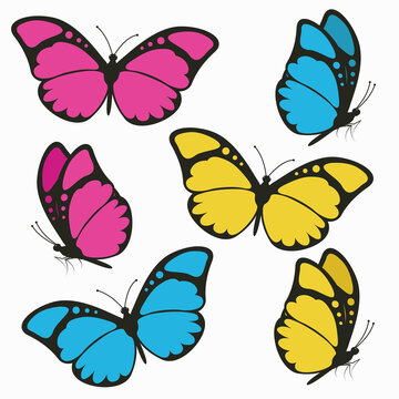 A set of colorful butterflies isolated on a white background. Vector illustration