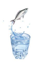 boguel, poisson, sauter, évasion, pêche, eau, en verre, boire, liquide, froid, verser, isolé, blanc, clapoter, éclaboussure, bouillonner, boisson, bleu, abattre, clair, frais, glace, sain, propre, tra