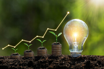 Fototapeta The light bulb is located on the soil. and plants grow on stacked coins Renewable energy generation is essential for the future and Renewable energy-based green businesses can enable business growth. obraz