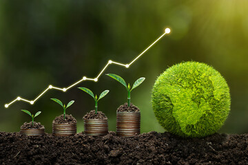 Fototapeta  Light bulb is located on soil. plants grow on stacked coins Renewable energy generation is essential for the future. Renewable energy-based green business can limit climate change and global warming. obraz