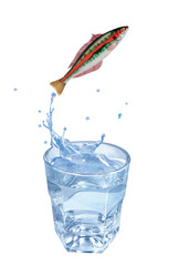 girelle, poisson, sauter, évasion, pêche, eau, en verre, boire, liquide, froid, verser, isolé, blanc, clapoter, éclaboussure, bouillonner, boisson, bleu, abattre, clair, frais, glace, sain, propre, tr