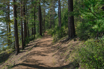 Great Baikal Trail. Popular route along lake Baikal shore from Listvyanka to Big Koty. © Иван Грабилин