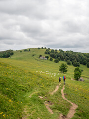 Hiking in the French Vosges, Alsace