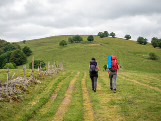 Fototapeta premium Hiking in the French Vosges, Alsace