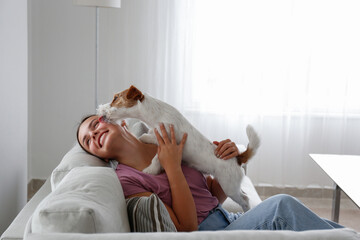 Adorable wire haired Jack Russel terrier puppy licking a chick of young beautiful woman. Loving...