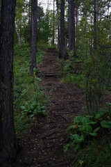 Great Baikal Trail. Popular route along lake Baikal shore from Listvyanka to Big Koty. © Иван Грабилин