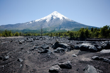 Volcanic landscape with black ground and green forest at foot of Osorno Volcano, Los Lagos province, Chile.  Volcano with a snow-capped peak against clear blue sky. Terrain covered with lava stones © Vitalii Karas