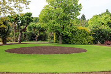 English Park With Trees And Shrubs.