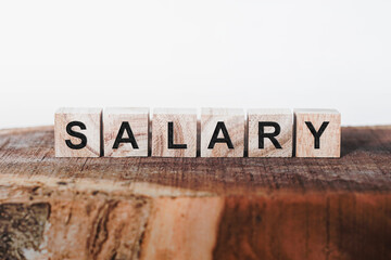 Salary Word Written In Wooden Cube