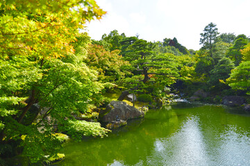 初夏の日本庭園