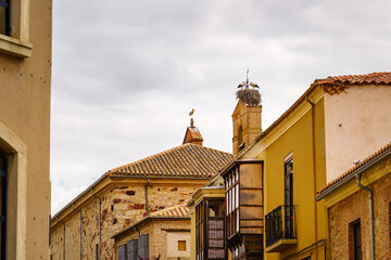 Storks with its nest at the top of the tower of the church of the medieval village of Zamora, Spain.