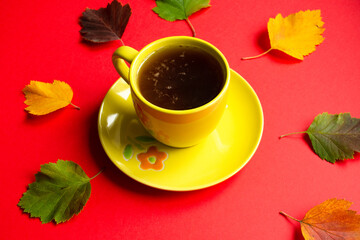 Yellow cup of tea with a saucer on a red background among autumn leaves close-up