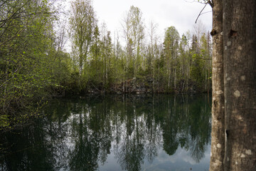Obraz premium Abandoned lake in the depths of the forest. Spring day. Hiking concept