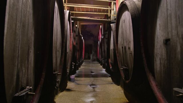 Traditional wine cellar interior with stacked old wooden barrels. Concept of touristic wine route and winemaking business.