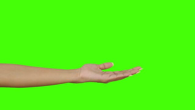 closeup empty hands with palms up on green background with chroma key