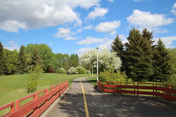 the road in the park