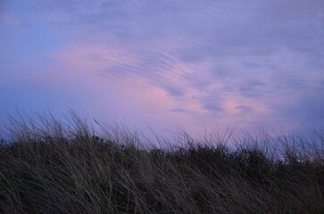 Sunset sky at blue hour background, sand dunes with grass in front 