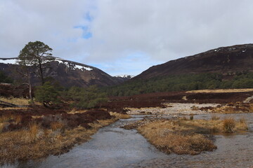 Glen Quoich Braemar Forest of Aberdeenshire scotland highlands 