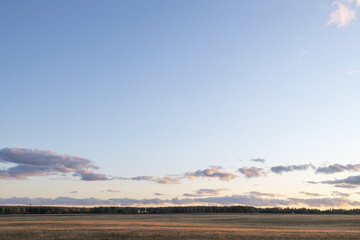 skyline in the morning, field and sky