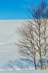 See the beautiful winter illusion